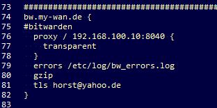Caddyfile Error during parsing: Unknown directive - Help